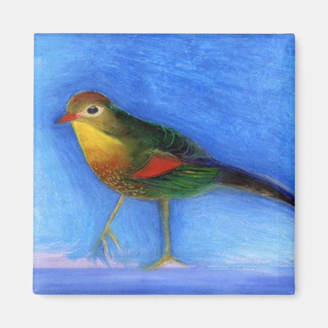 Imán Luz nocturna 2012 (Frente)