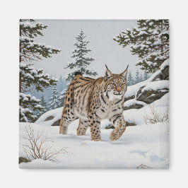 Imán Lynx en Fulufjället Parque nacional Suecia Viajes