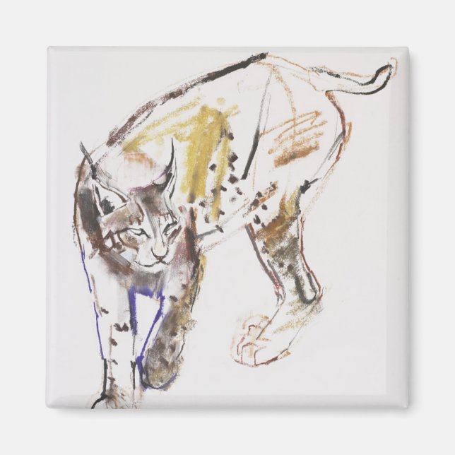 Imán Lynx europeo (Frente)