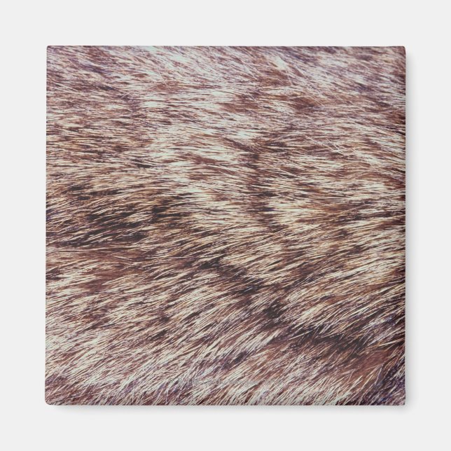 Imán Lynx fur (Frente)