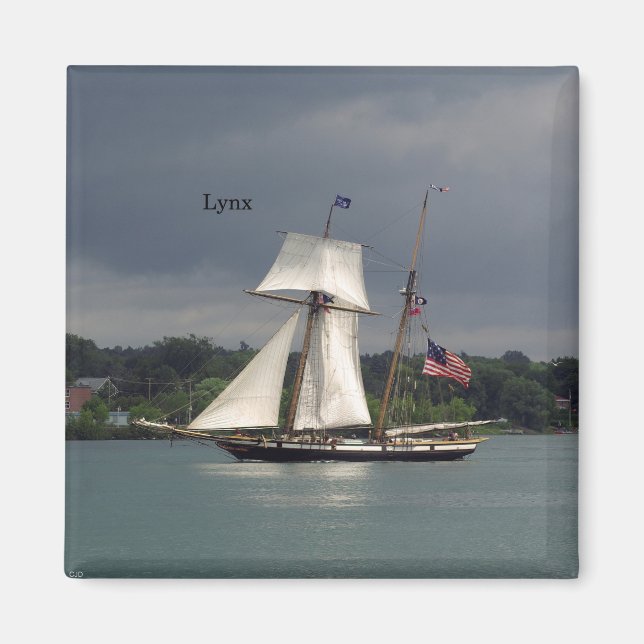 Imán Lynx imnet (Frente)