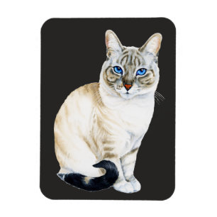 Imán Lynx Point Siamese Cat