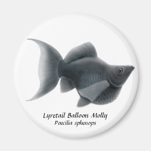 Imán LyRetail Balloon Molly