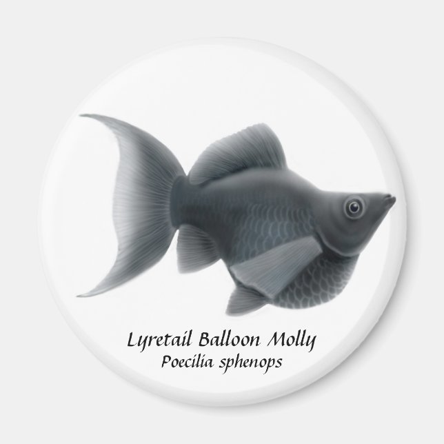 Imán LyRetail Balloon Molly (Frente)