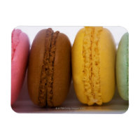 Macarons gourmet franceses importados (macarons)