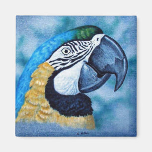 Imán Macaw