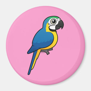 Imán Macaw Azul-y-amarillo