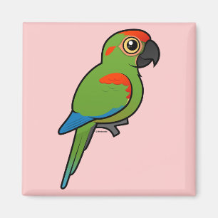 Imán Macaw de frente rojo