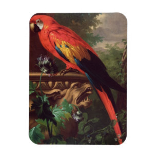 Imán Macaw del escarlata en un paisaje (aceite en lona)