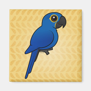 Imán Macaw del jacinto