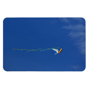 Imán Macaw Kite