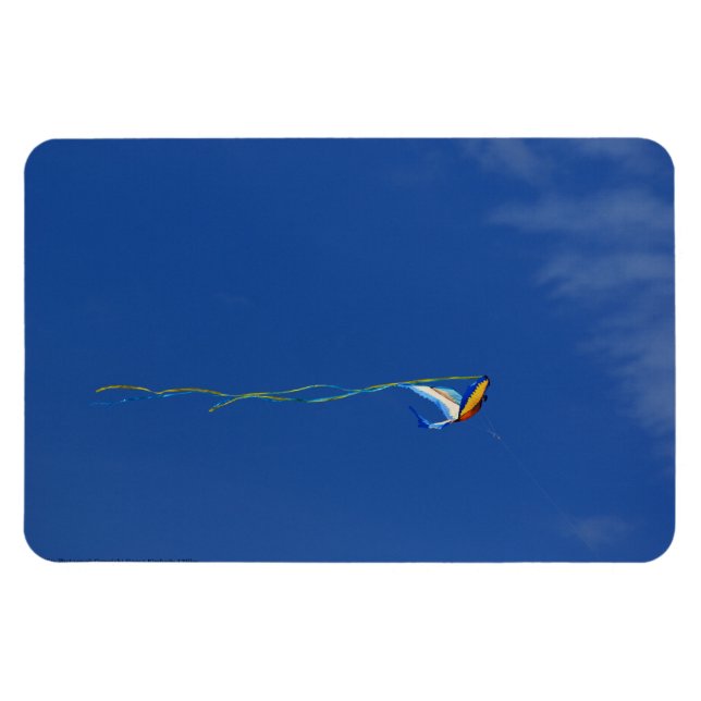 Imán Macaw Kite (Horizontal)
