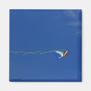 Imán Macaw Kite