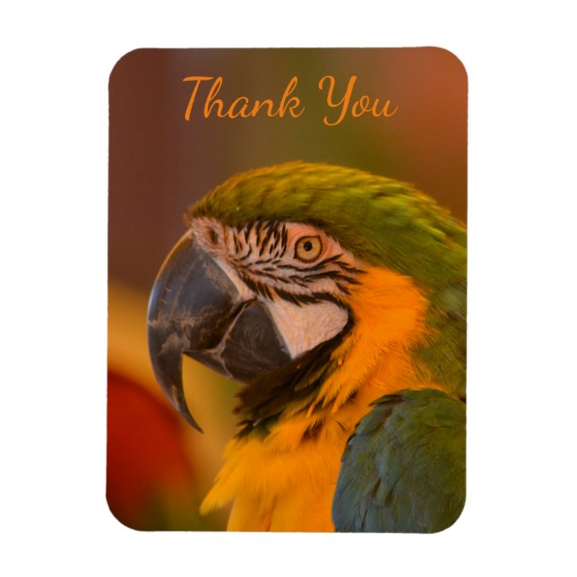 Imán Macaw Parrot Gracias (Vertical)