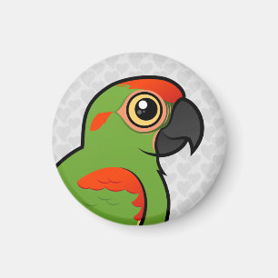 Imán Macaw Rojo-afrontado