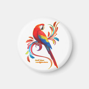 Imán Macaw-Scarlet