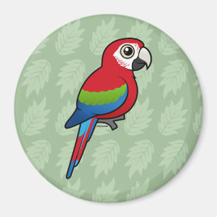 Imán Macaw Verde-con alas
