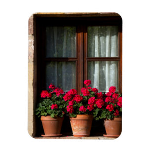 Imán Macetas de flores en ventana en pueblo