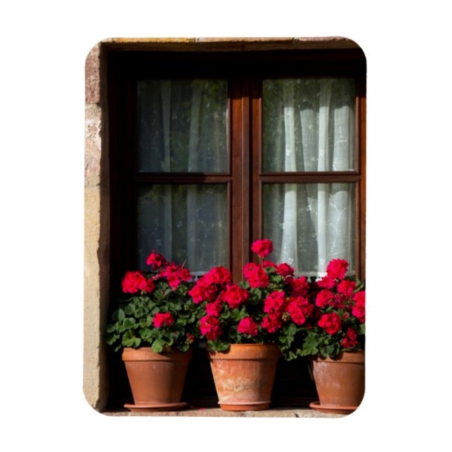 Imán Macetas de flores en ventana en pueblo (Vertical)