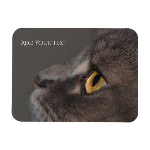 Imán Macro-ojo de gato por Shirley Taylor