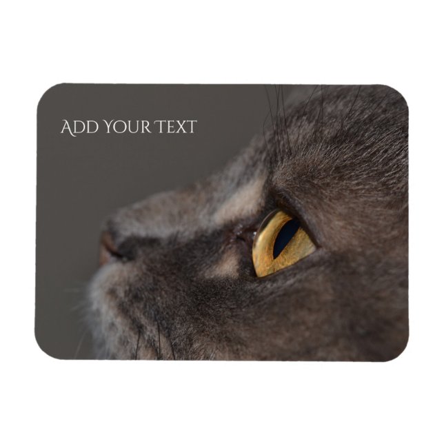 Imán Macro-ojo de gato por Shirley Taylor (Horizontal)