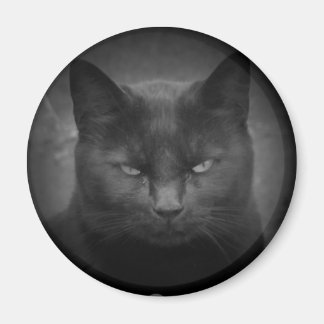 Imán Mad Black cat Destacado