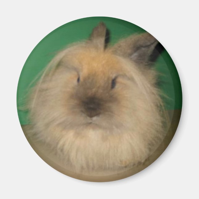 Imán Mad Bunny (Frente)