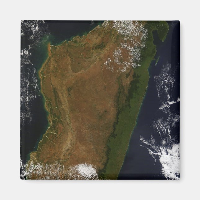 Imán Madagascar (Frente)