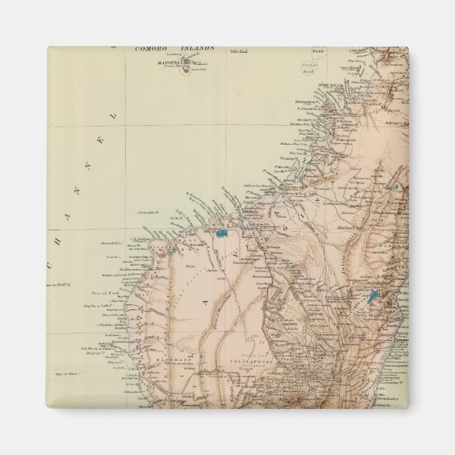 Imán Madagascar (Frente)