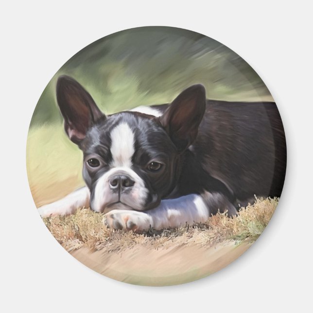 Imán Maddi (Frente)