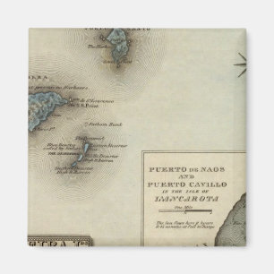 Imán Madeira Ids