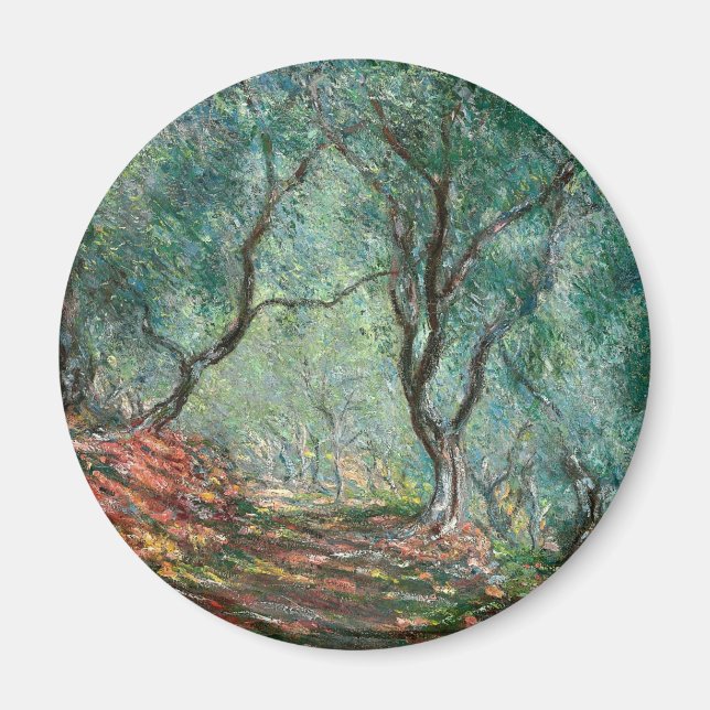 Imán Madera de olivo en los jardines de Moreno (por Mon (Frente)