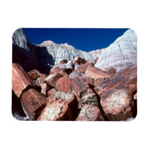 Imán Madera Petrieficada, Petrified Forest NP, Arizona