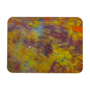 Imán Madera Petrificada