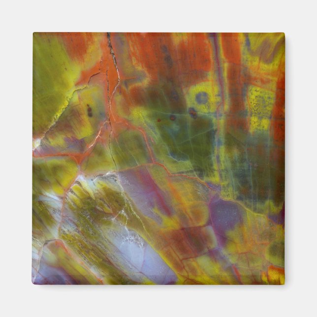 Imán Madera Petrificada Arcoíris (Frente)