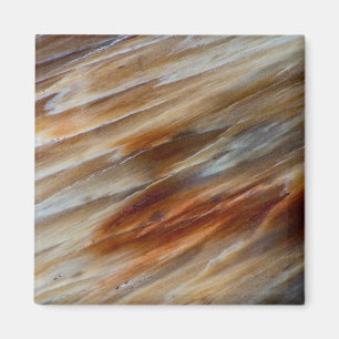 Imán Madera Petrificada Desigual