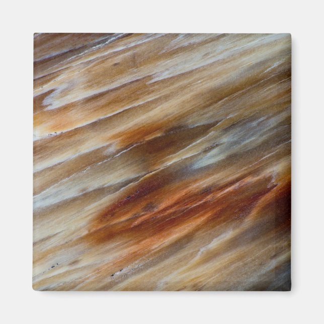 Imán Madera Petrificada Desigual (Frente)
