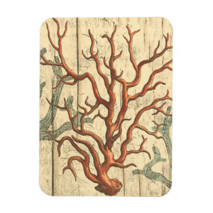 Imán Madera y pequeño coral