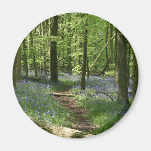 Imán Maderas del Bluebell