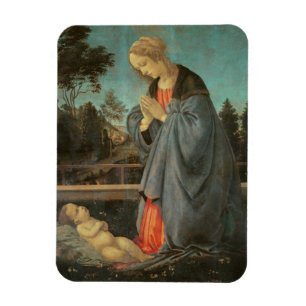 Imán Madonna que adora al niño, c.1477-80 (aceite en p