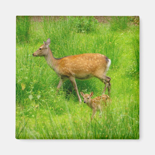 Imán Madre e hijo - venado en barbecho con niño (Frente)
