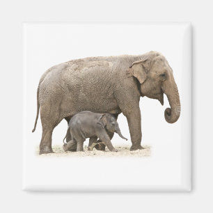 Imán Madre y bebé elefante