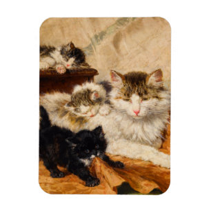 Imán Madre y sus gatitos