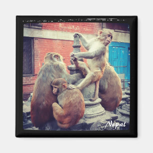 Imán Maestro de yoga, Swayambhunath, Katmandú (Nepal)