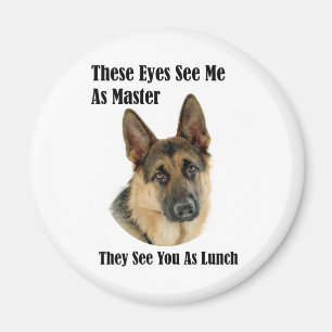 Imán Maestro pastor alemán