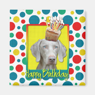 Imán Magdalena del cumpleaños - Weimaraner