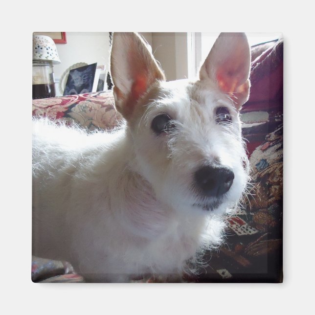 Imán Maggie Mae (Frente)