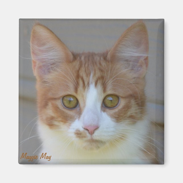 Imán Maggie May Magnet (Frente)