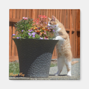 Imán Maggie puede y las flores