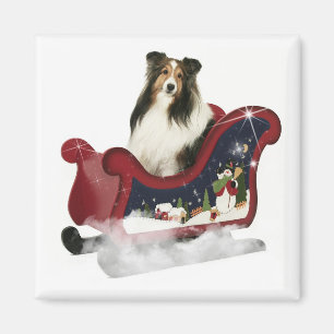 Imán Magic Sleigh Sheltie